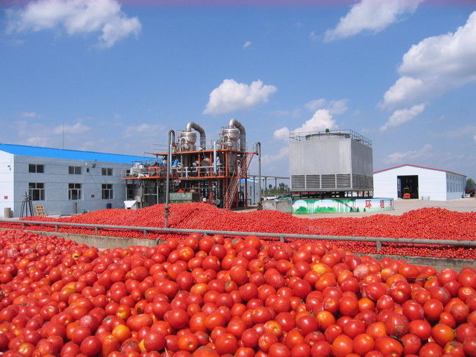 Arkhum (Tianjin) Health Technology Co., Ltd. üretici üretim hattı